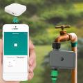 Automatic Drip Irrigation Controller Smart Water Valve Eu Plug