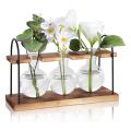 Plant Propagation Station with Wooden Stand