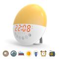 Alarm Clock Wake Up Light with Dual Alarms and Snooze Function