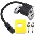 Ignition Coil Module Air Filter Spark Plug for 593872 799582 798534