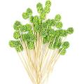 200pc Bamboo Pick Buffet Tropical Leaves Cupcake Fruit Fork