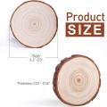 20pc Natural Wood Slices for Craft Pre-installed with Eye Screws