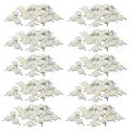 200 Pcs High Power 2 Pin 3w White Led Bead Emitters 170-190lm 6000k