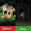 Nighttime Animal Deterrent Light Solar Powered Nocturnal