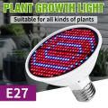 Hydroponic Lamp Grow Light for Indoor Plant 200leds Phyto Flower Lamp