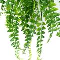 3 Pcs Artificial Hanging Ferns Plants Vine Hanging Plants(green)