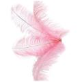 10 Pcs Ostrich Feathers Wedding Party Decoration Pink 20-25cm