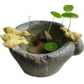 Flowerpot Bonsai Imitation Stone Mortar Duck Ornaments for Outdoor
