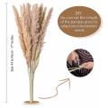 80 Pcs Dried Pampas Grass Decor Tall- 18 Inch Dried Pampas Grass