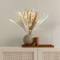 Brown Pampas Reed Grass Natural Dried Bouquet for Home Decor Boho