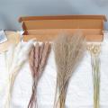 Dried Reed Small Pampas Flowers Artificial Banquet Decoration