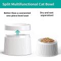 Elevated Cat Food Bowl, 17 Degree Tilted Cat Elevated Feeding Bowl