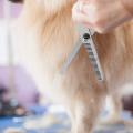 Dog Grooming Scissors with Pet Grooming Comb for Dog Cat Hair Care