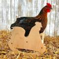 Wooden Swing Ladder Perch Toy for Roosters Chicks Chicken Rocker