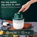 250ml Hand Food Mixer Egg Beater Usb for Meat Garlic Vegetable Green