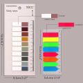 Sticky Index Tabs, Page Marker Sticky, Translucent (dark Color)