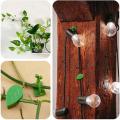 100pcs Plant Climbing Wall Fixture Clip, for Plant Vines Traction