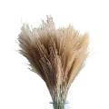 100 Pcs Dried Pampas Grass Decor, 17.7inch for Wedding Bouquets