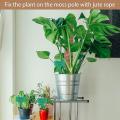 Moss Rod Spiral Totem Plant Support for Climbing Plants Monstera
