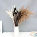 35pcs Reed Dried Flower Set Decoration Christmas Home Living Room