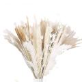 80 Pampas Ornaments, Fluffy and Full, Pampas Grass Fluffy
