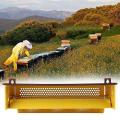 Plastic Pollen Trap Bee Keeping Tools Tray Entrance Pollen Collector