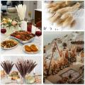 65pcs Pampas Grass Ornaments,reed Hay & Rabbit Tail Dried Flowers
