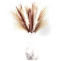 60 Pieces Dried Pampas Grass Decorations - Dried Flower for Home