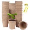 100 X Propagation Pots for Growing Plants, Plant Pots, Growing Pots