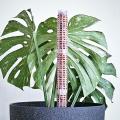 Climbing Plant Pole Plant Growing Support Coconut Palm Stick, S