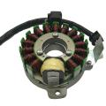 Js250 Stator Coil Coil for 250 250cc Atv Accessories