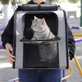 Pet Cat Bag Pets Cat Double Shoulder Bag Puppy Carrying Bag Gray