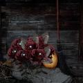 Halloween Roses with Eyeballs Flower with Stem for Halloween Party A