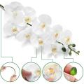 2 Pcs 38inch Artificial Real Contact Orchids Flowers for Diy Wedding