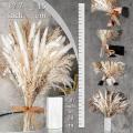 100pcs Natural Dried Pampas Grass Bouquet Dried Flower for Wedding