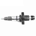 0445120212 Common Rail Injector for Cummins Daf Lf 45 55 Cf65 Iveco