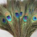 Pack Of 25pc Natural Peacock Feathers 10-12 Inch