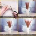 Pampas Grass Dried Reed Dried Flowers Decoration 50 Pieces