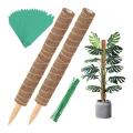 82pcs Moss Poles Set - Coir Totem Poles for Indoor Creepers Plant