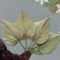4 Pcs Dried Palm Leaves - Dried Flowers for Boho Wedding Decor