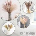 60 Pcs Natural Dried Pampas Grass, 17inch for Home Decor, Wedding