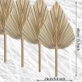 12pcs Dried Palm Leaves Dried Palm Fans Bohemian Tropical Palm Leaves