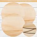 5pcs 14 Inch Wood Circles for Crafts - Unfinished Blank Wooden Rounds