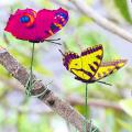 Butterfly Stakes, 50pcs Garden Butterfly Ornaments,for Indoor/outdoor