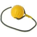 Pet Dog Training Toy Ball Chew Bite Resistant Toy with Rope(9cm)