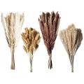 Dried Pampas Grass Decor - 75-pack Natural Pompous Grass 17inch
