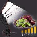 80w Full Spectrum Phyto Lamps for Plants House Hydroponics Succulent