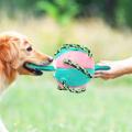 Outdoor Training Dog Toys Football Bite Resistance Toy -blue+pink