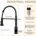 Kitchen Faucet, with Pull Down Sprayer Single Hole Kitchen Faucet