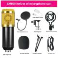 Bm 800 Microphone for Live Streaming Professional Studio (gold)